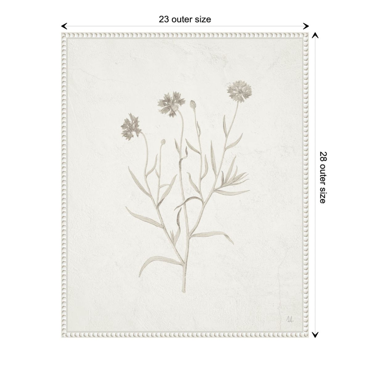 Plants from the Meadow V Framed Canvas Wall Art Print