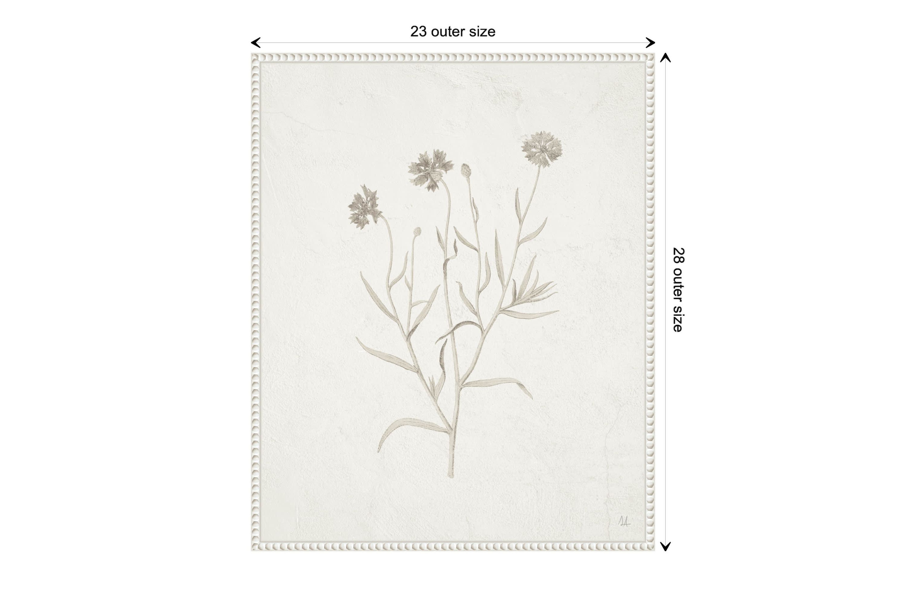Plants from the Meadow V Framed Canvas Wall Art Print