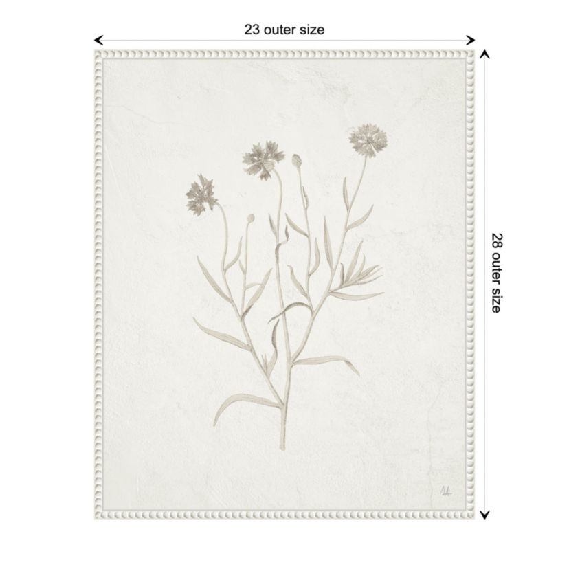 Plants from the Meadow V Framed Canvas Wall Art Print