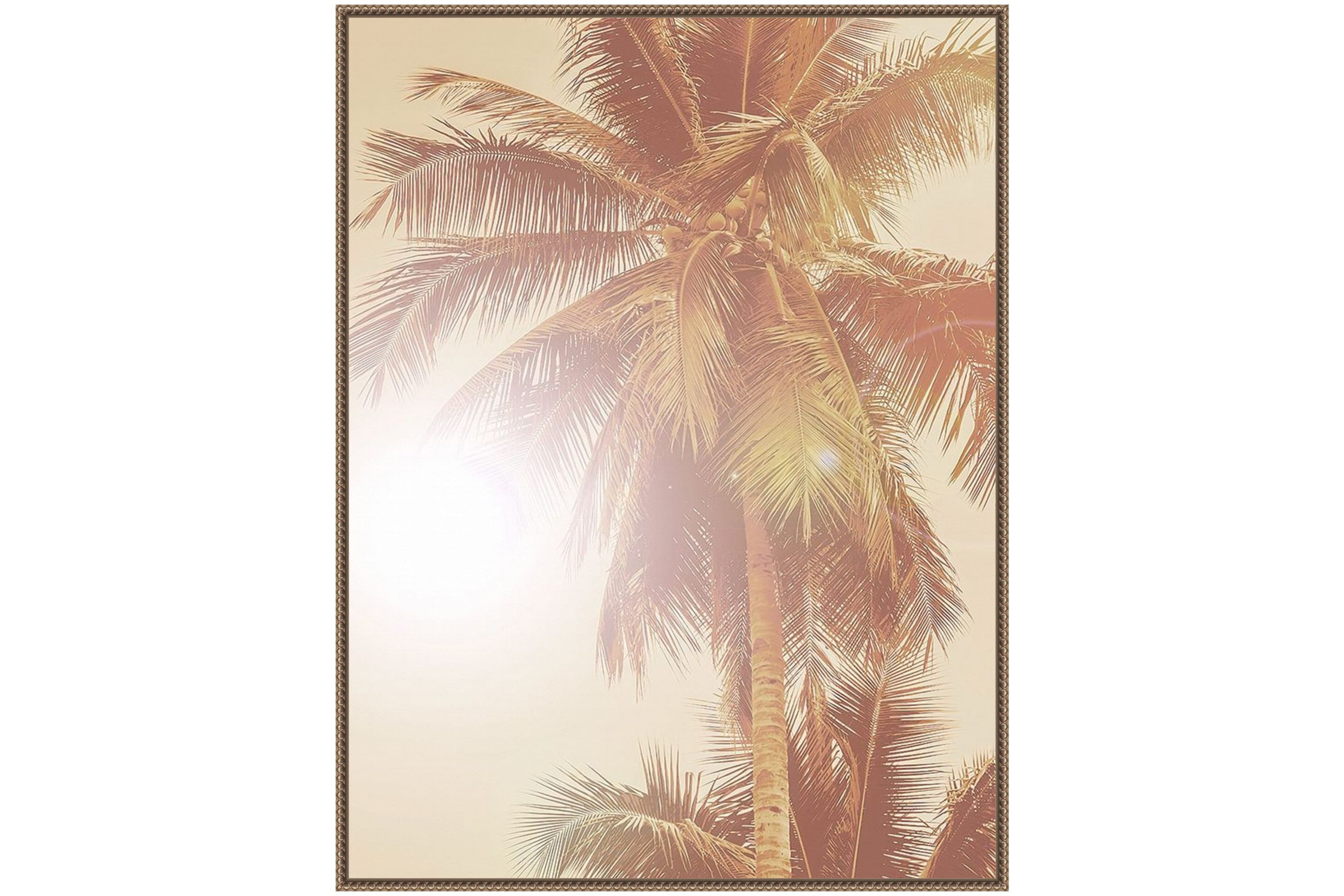 Sunkissed Palm Tree Framed Canvas Wall Art Print