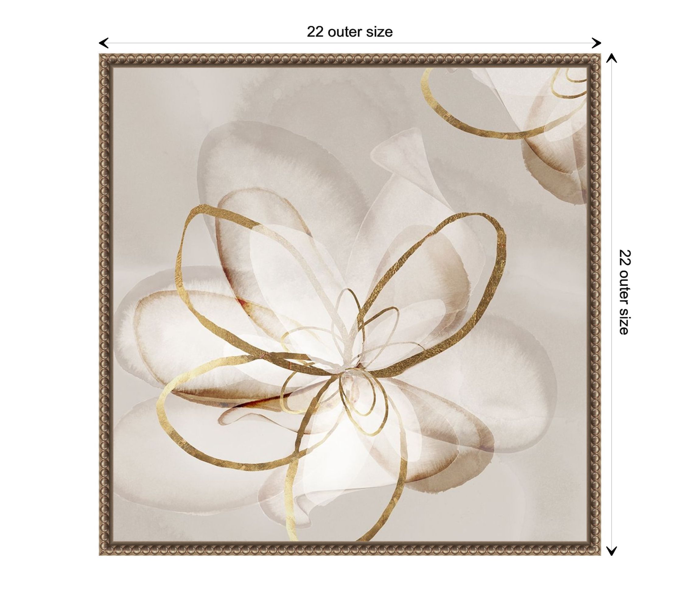 Transparent Beauty II (Floral) Framed Canvas Wall Art Print