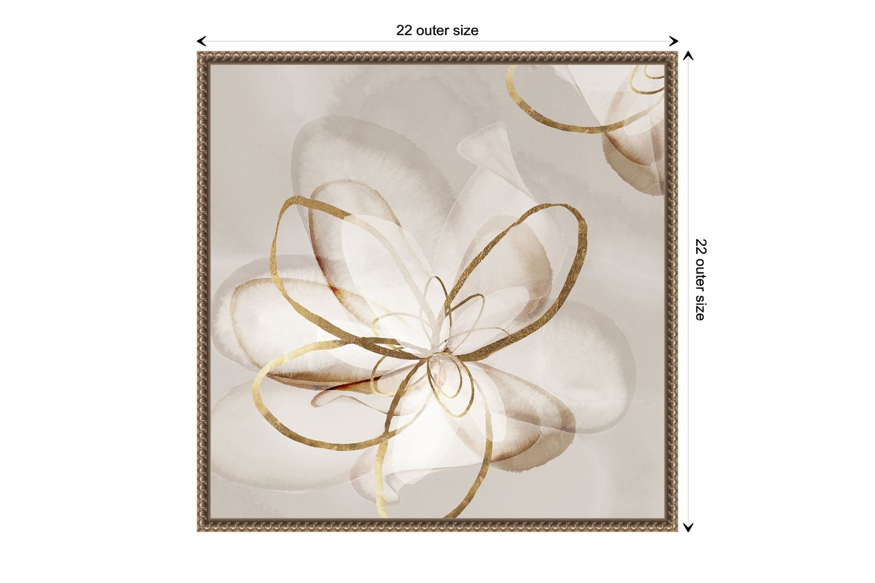 Transparent Beauty II (Floral) Framed Canvas Wall Art Print