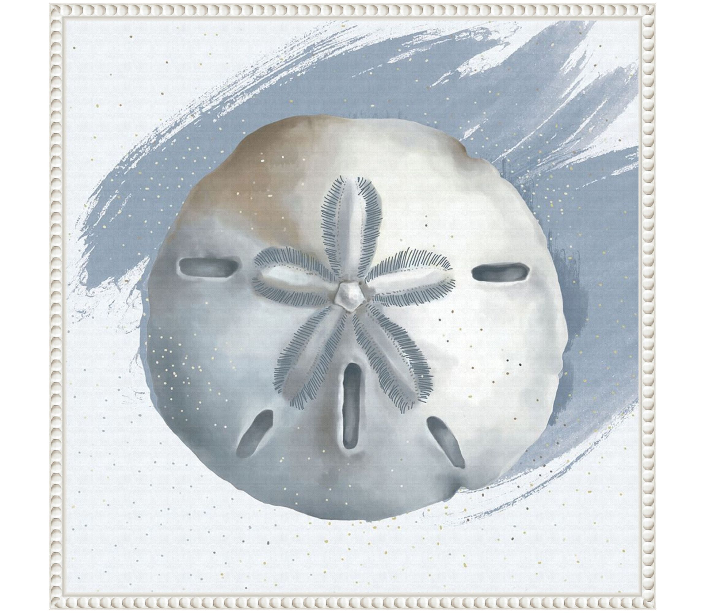 Sand Dollar Framed Canvas Wall Art Print