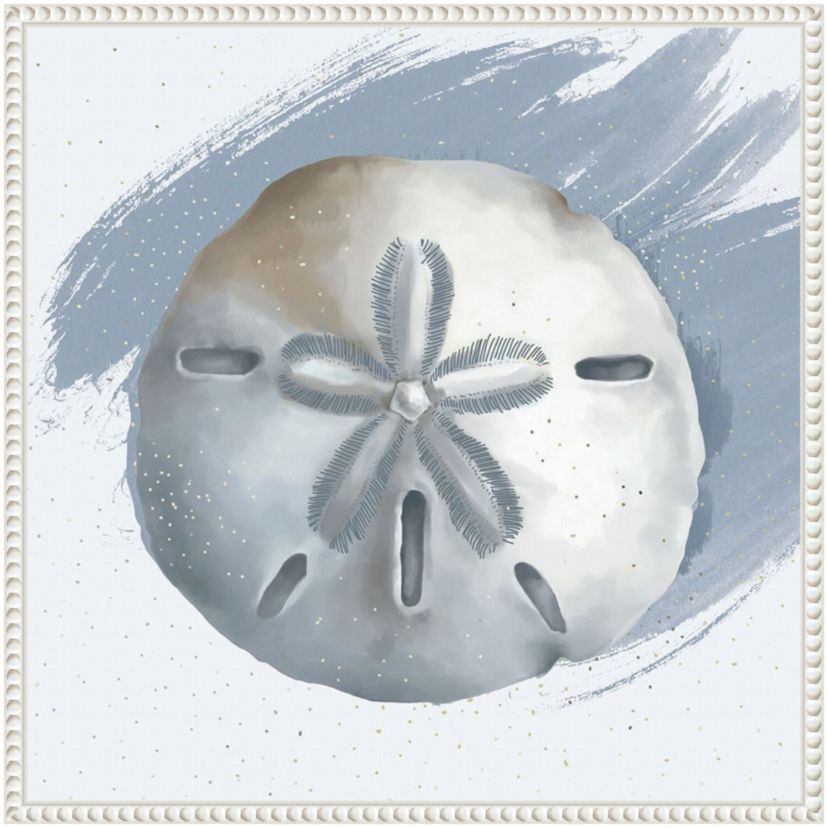 Sand Dollar Framed Canvas Wall Art Print