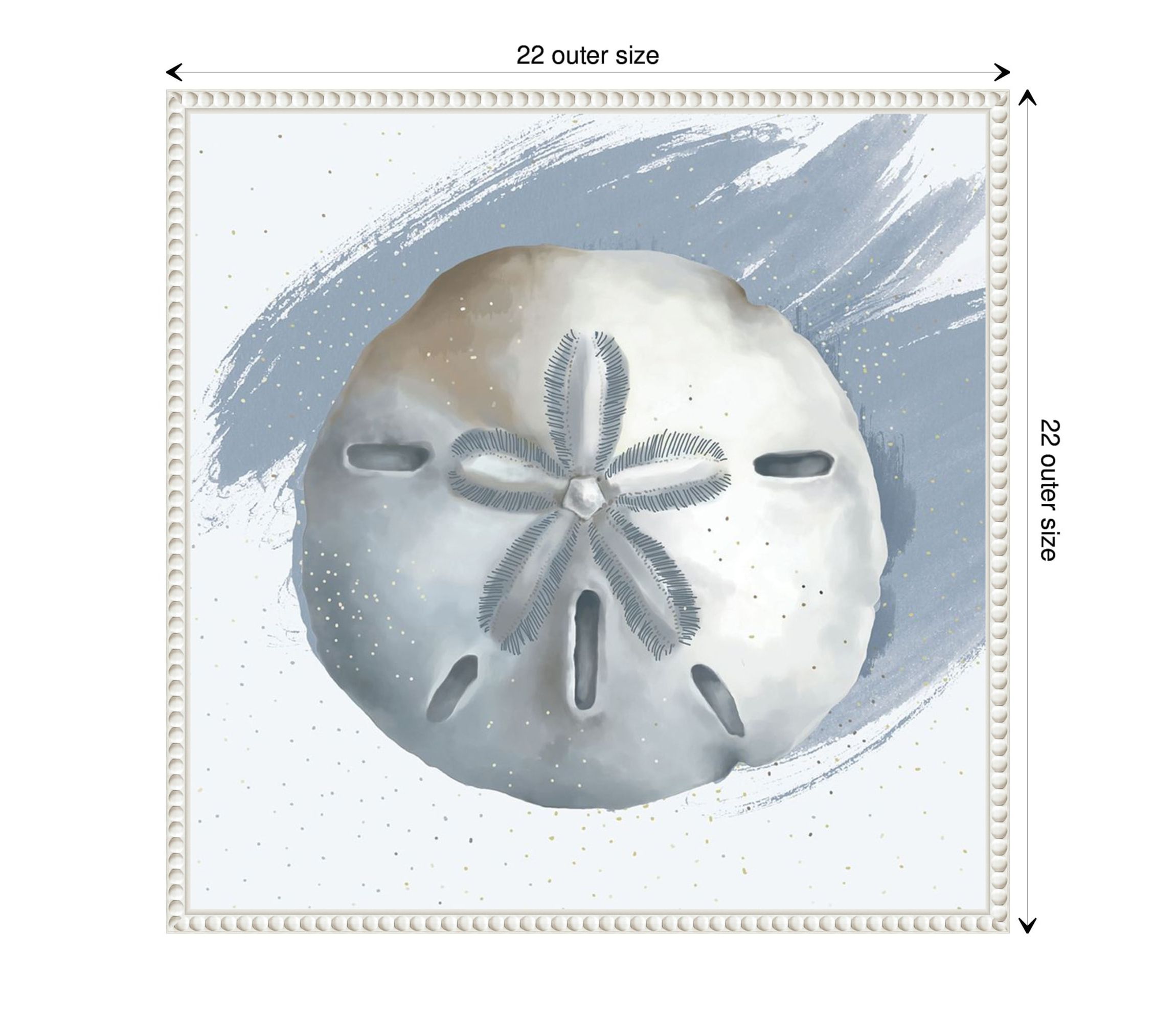 Sand Dollar Framed Canvas Wall Art Print