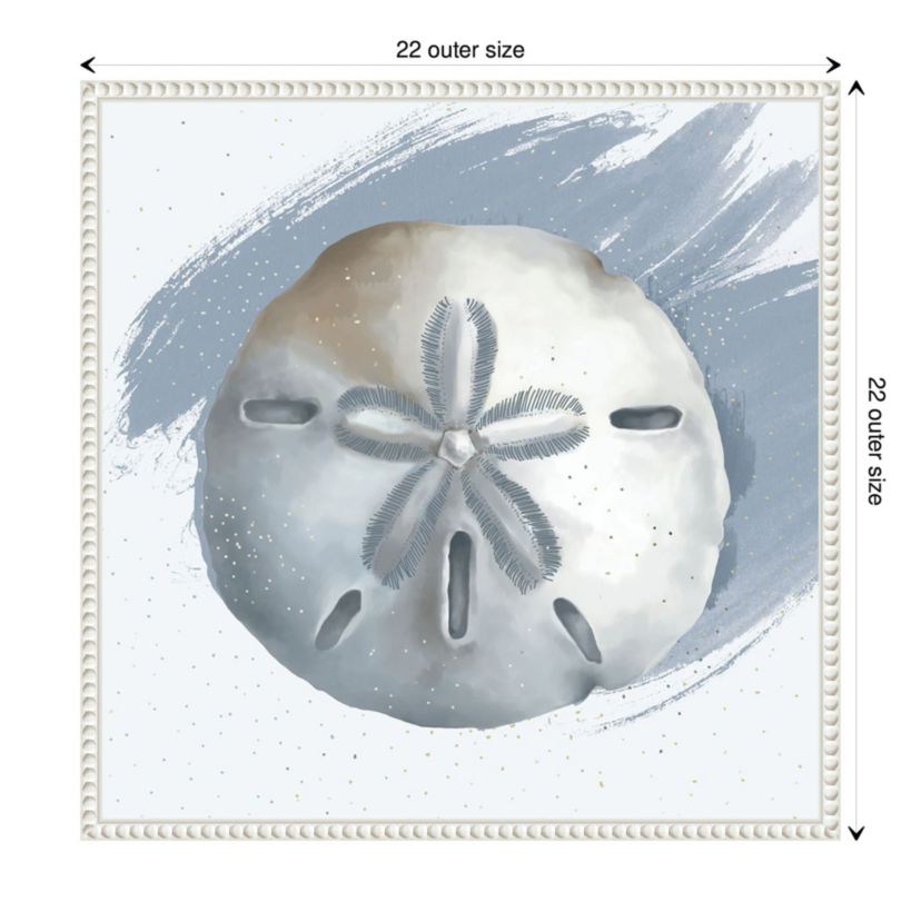 Sand Dollar Framed Canvas Wall Art Print
