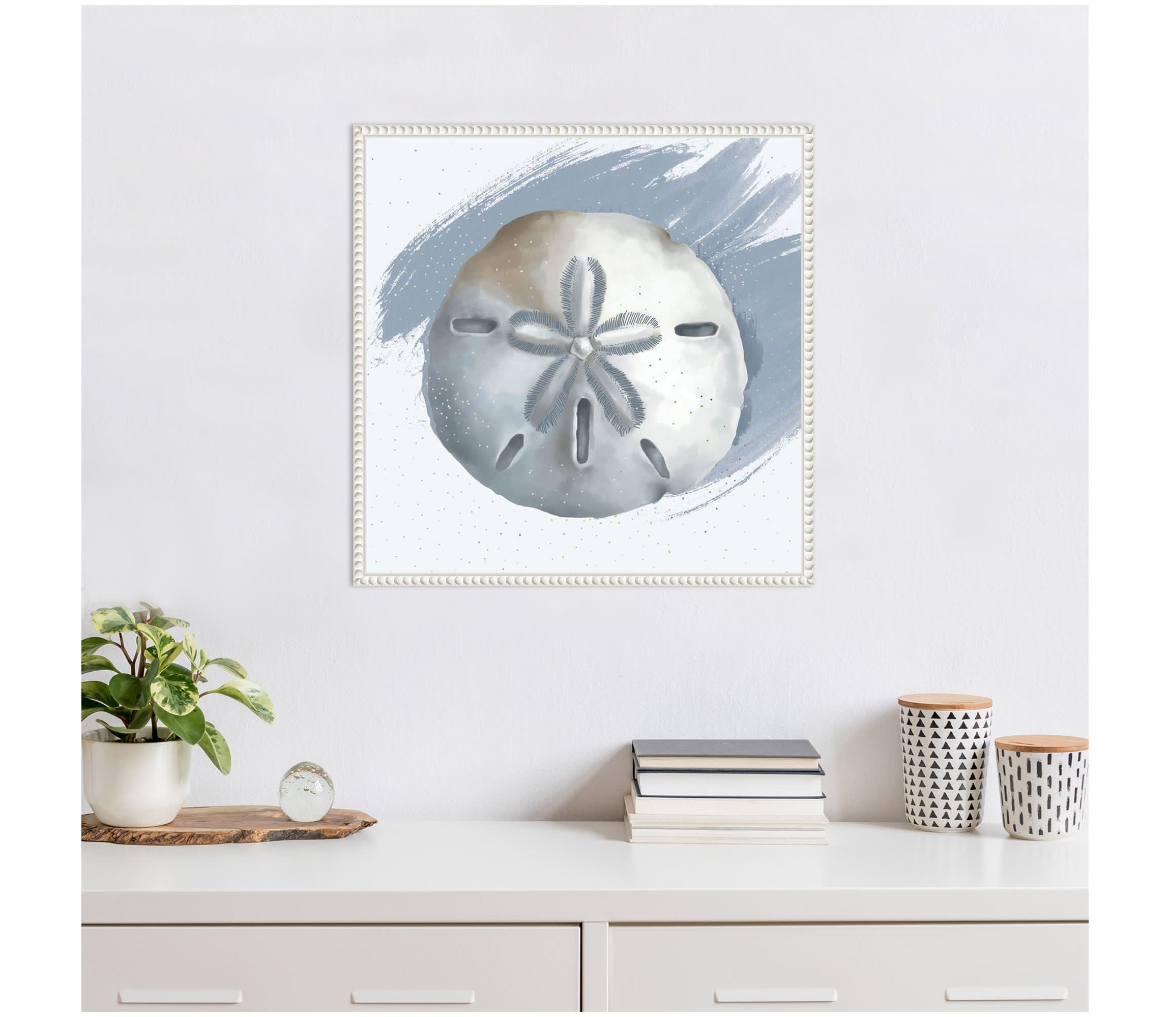 Sand Dollar Framed Canvas Wall Art Print