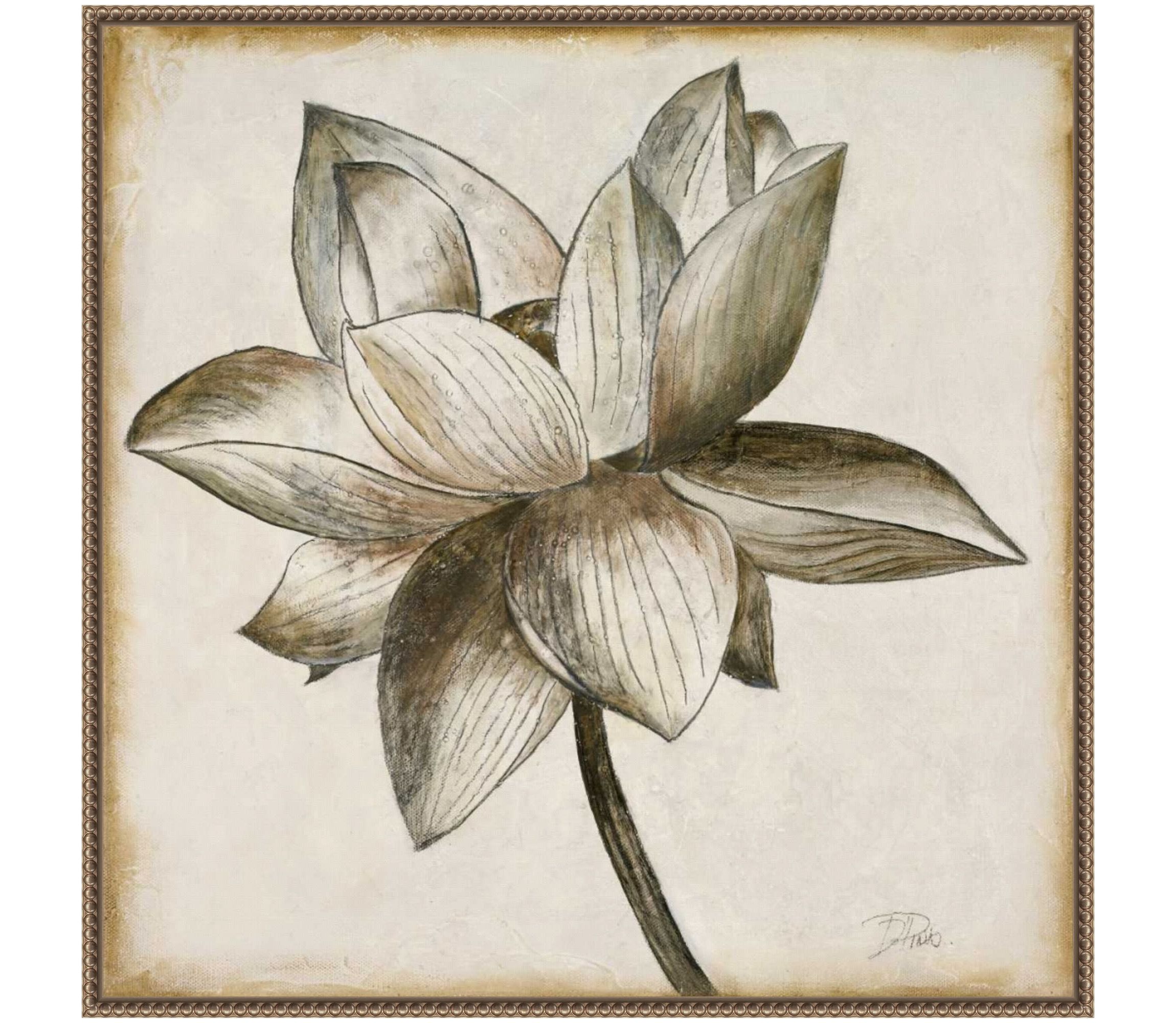 Sepia Lotus Blossom I Framed Canvas Wall Art Print