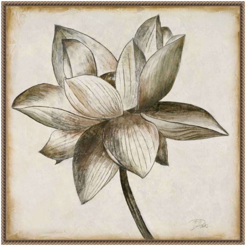 Sepia Lotus Blossom I Framed Canvas Wall Art Print