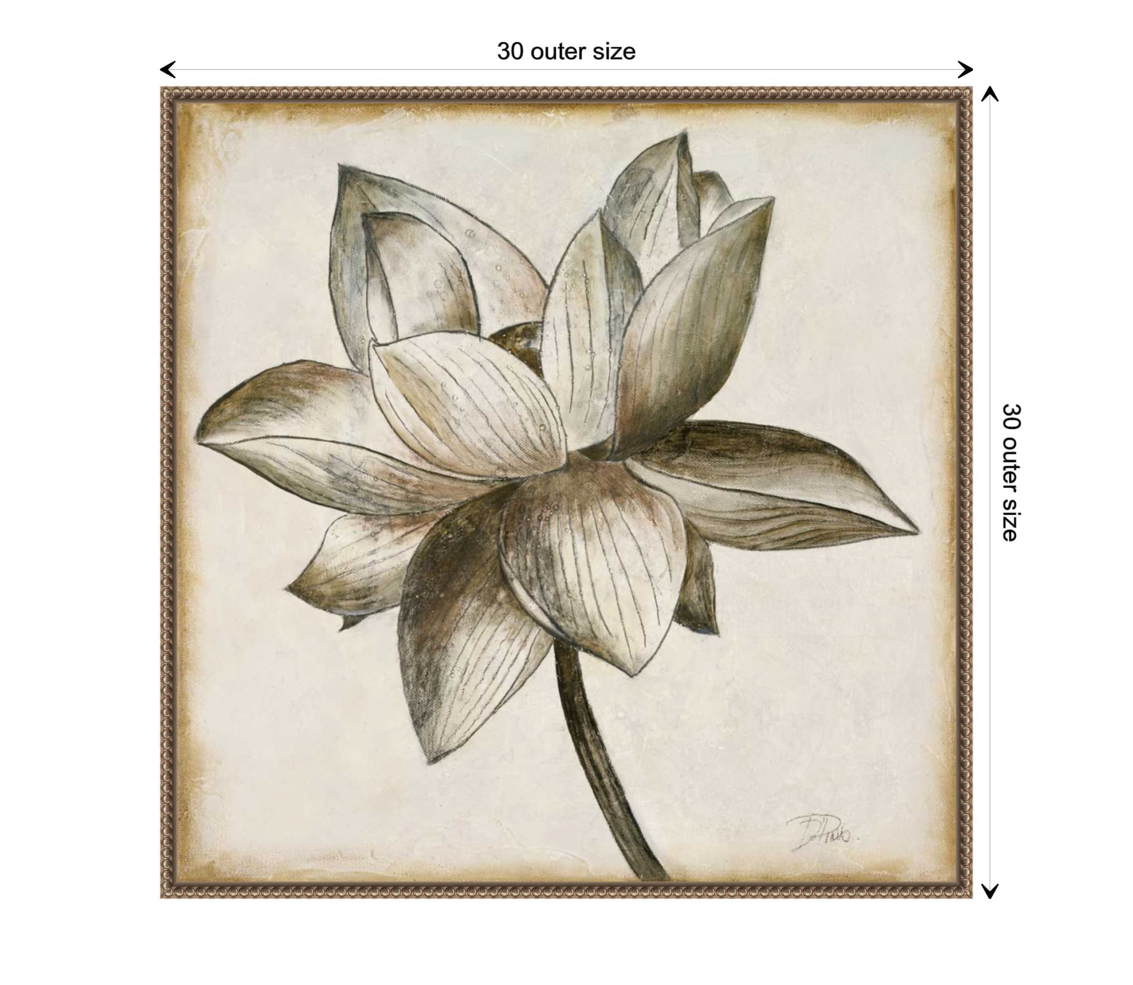 Sepia Lotus Blossom I Framed Canvas Wall Art Print
