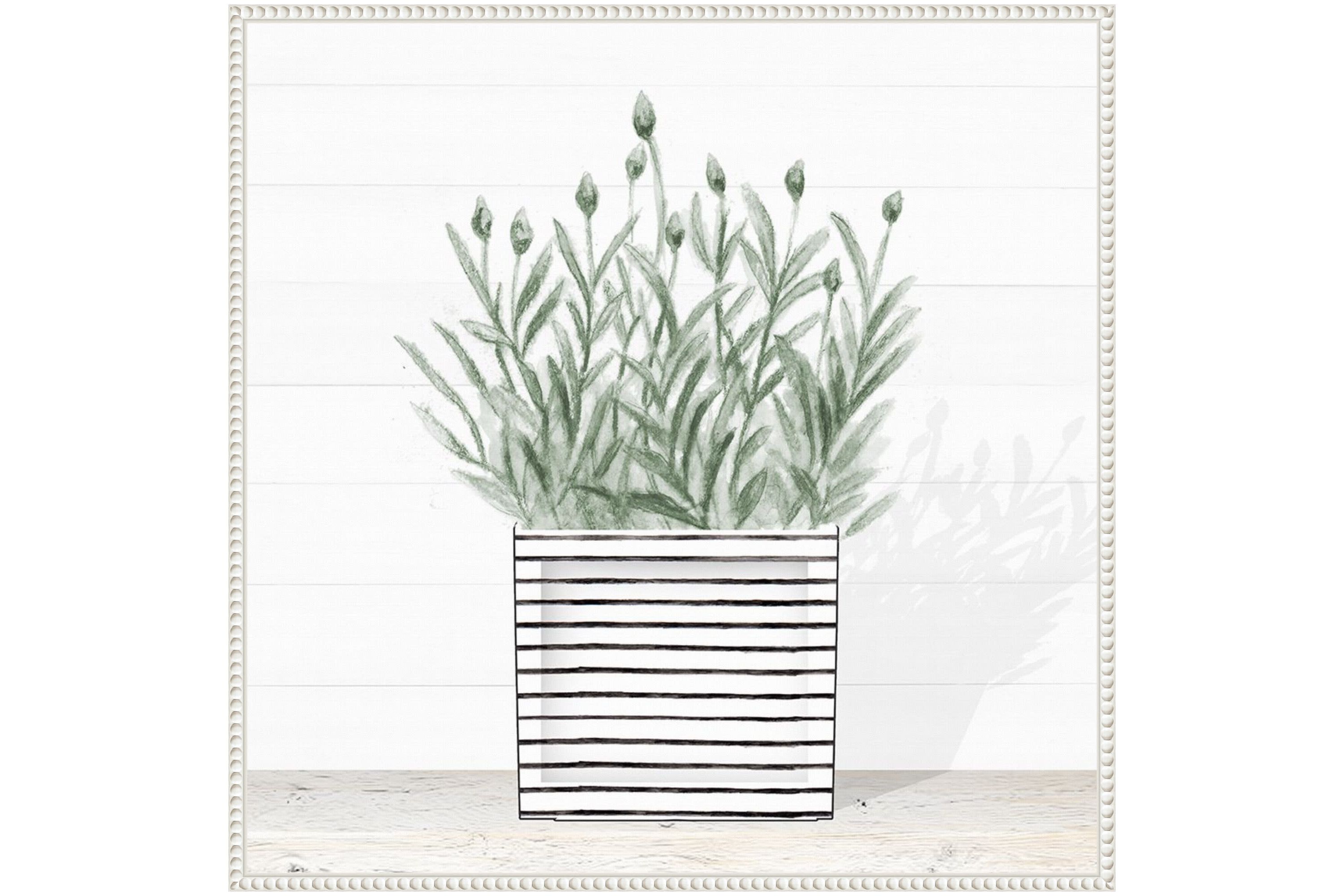 Lavender Blossom In Modern Pot III Framed Canvas Wall Art Print