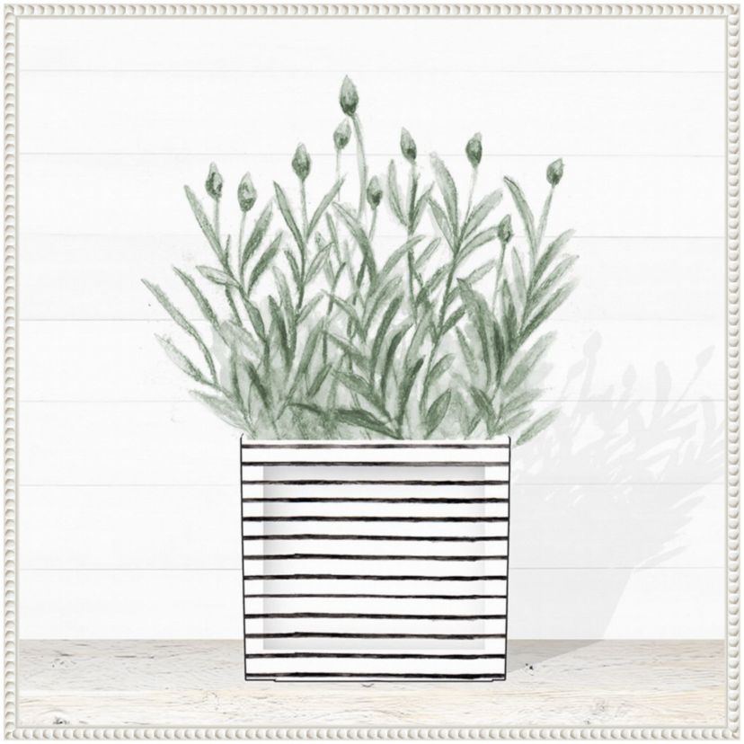 Lavender Blossom In Modern Pot III Framed Canvas Wall Art Print