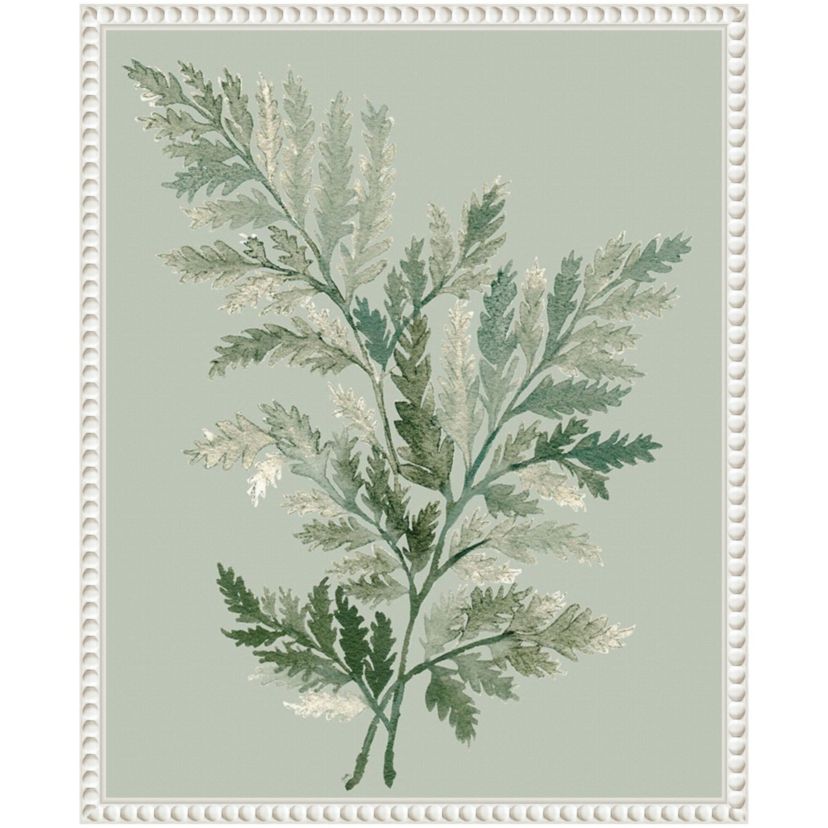 Tonal Green Ferns I Framed Canvas Wall Art Print
