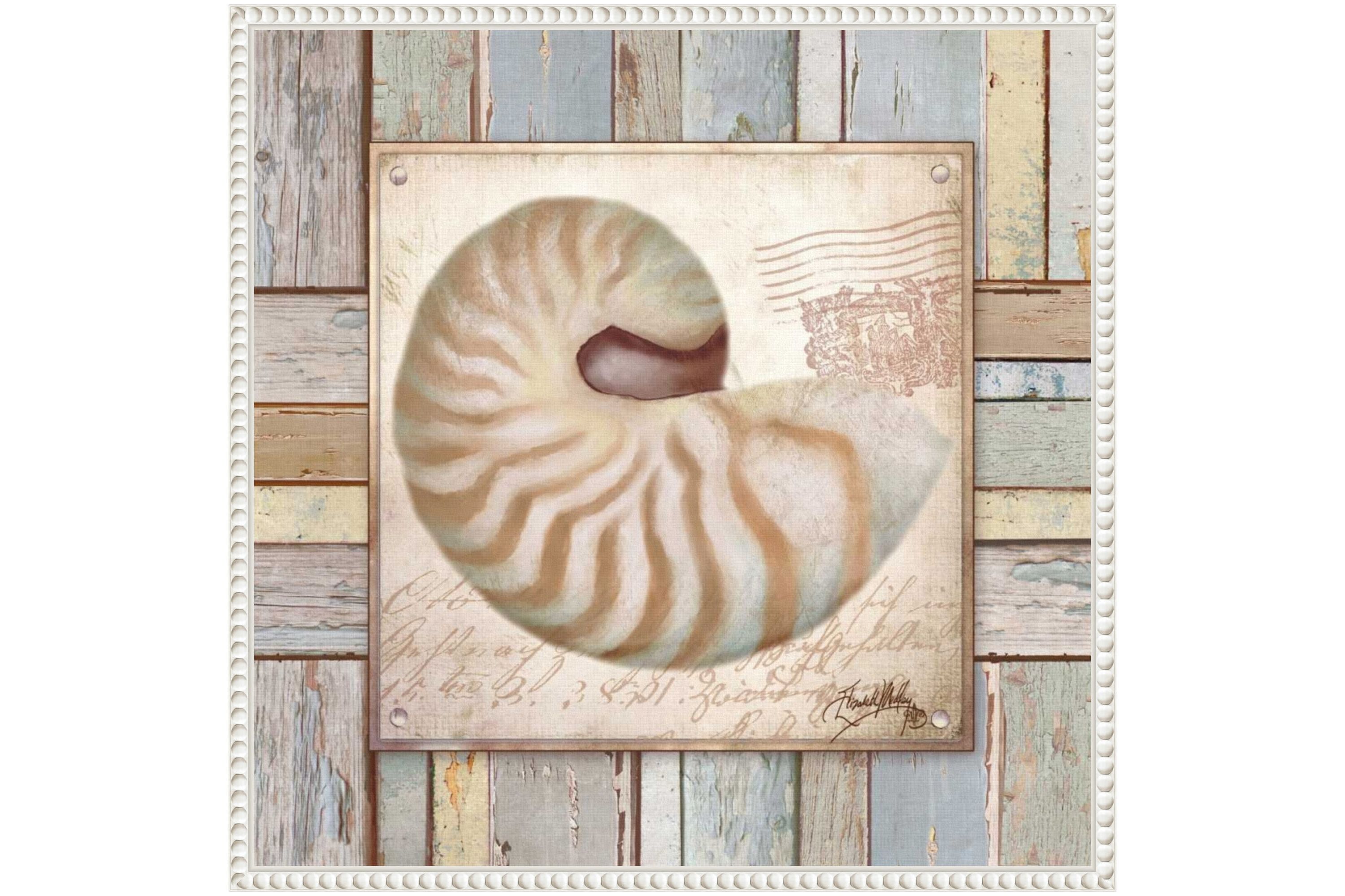Beach Shell III Framed Canvas Wall Art Print
