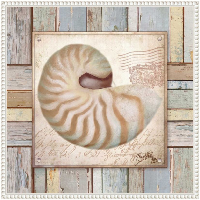 Beach Shell III Framed Canvas Wall Art Print