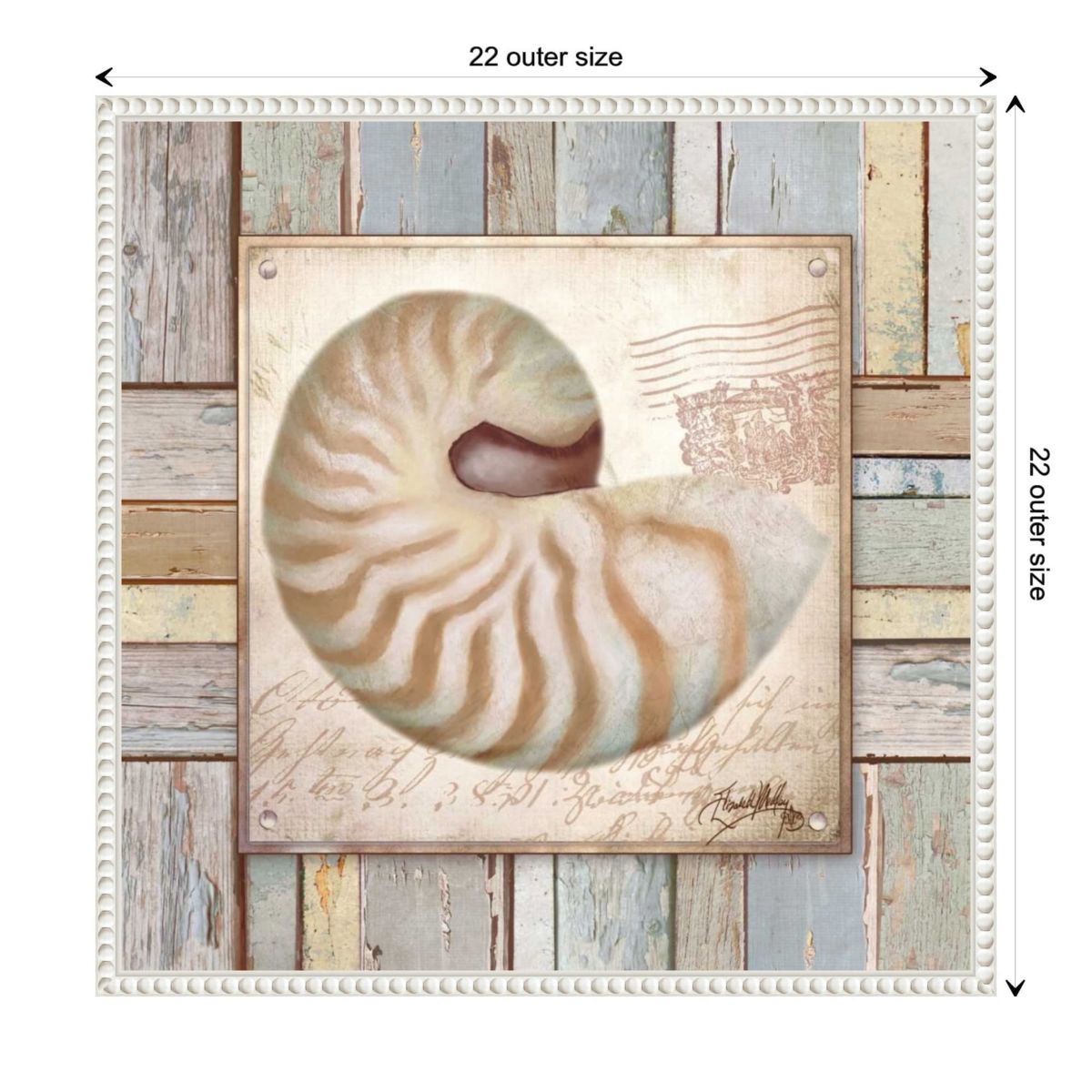 Beach Shell III Framed Canvas Wall Art Print