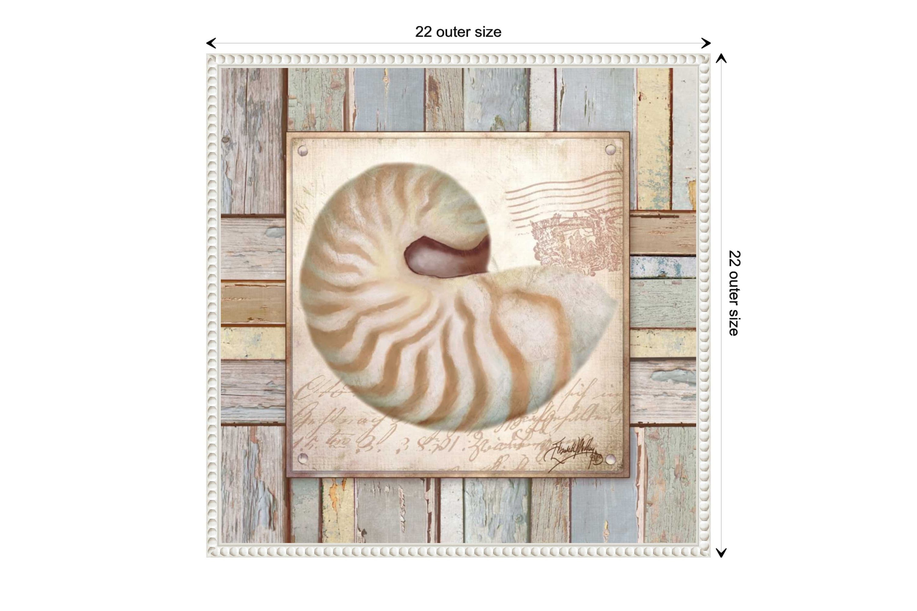 Beach Shell III Framed Canvas Wall Art Print