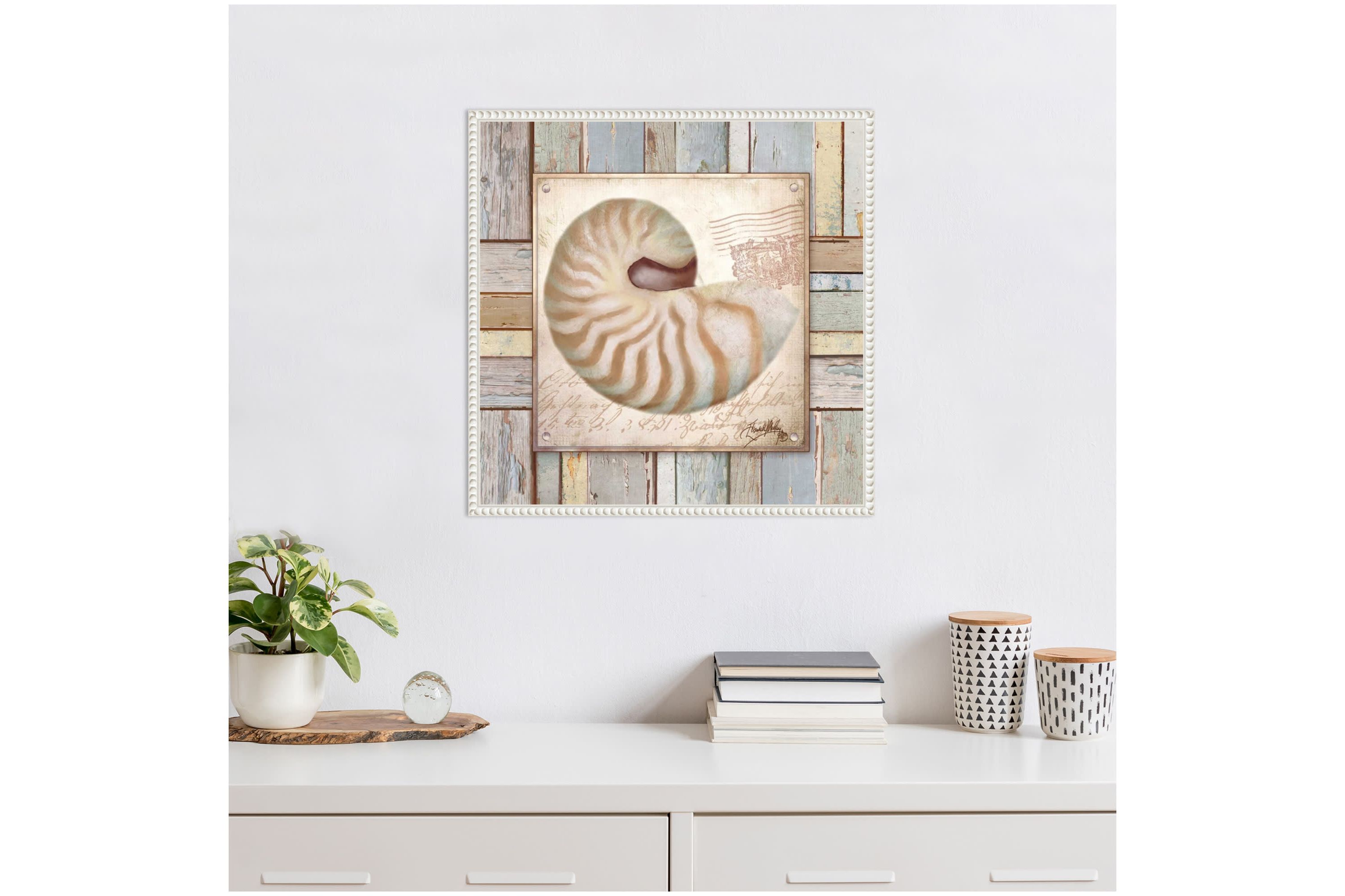 Beach Shell III Framed Canvas Wall Art Print