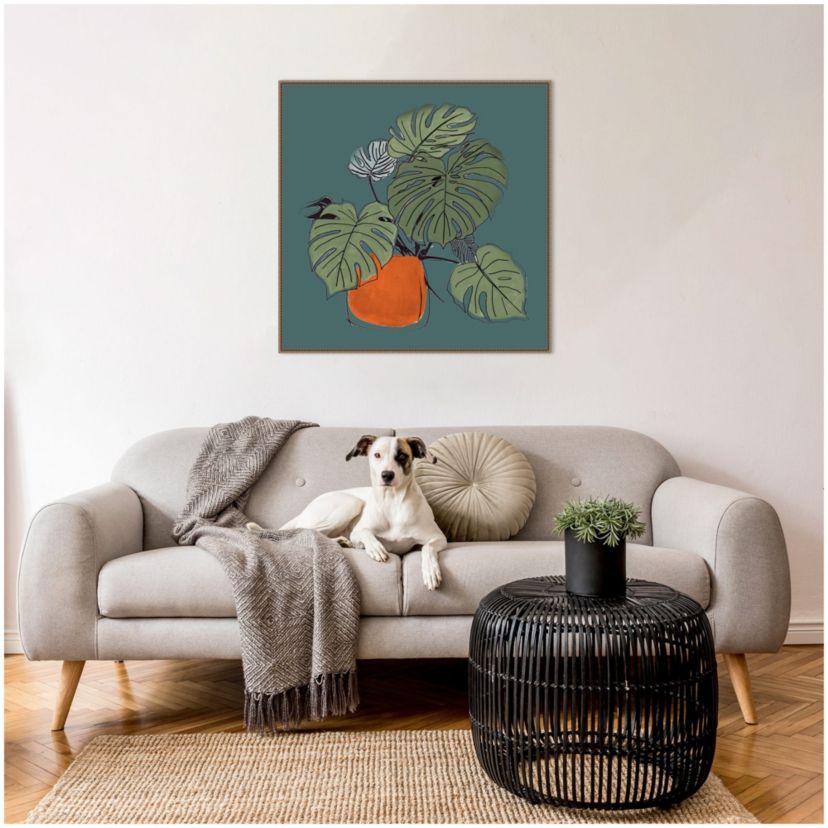The Retro Potted Plant On Teal II Framed Canvas Wall Art Print
