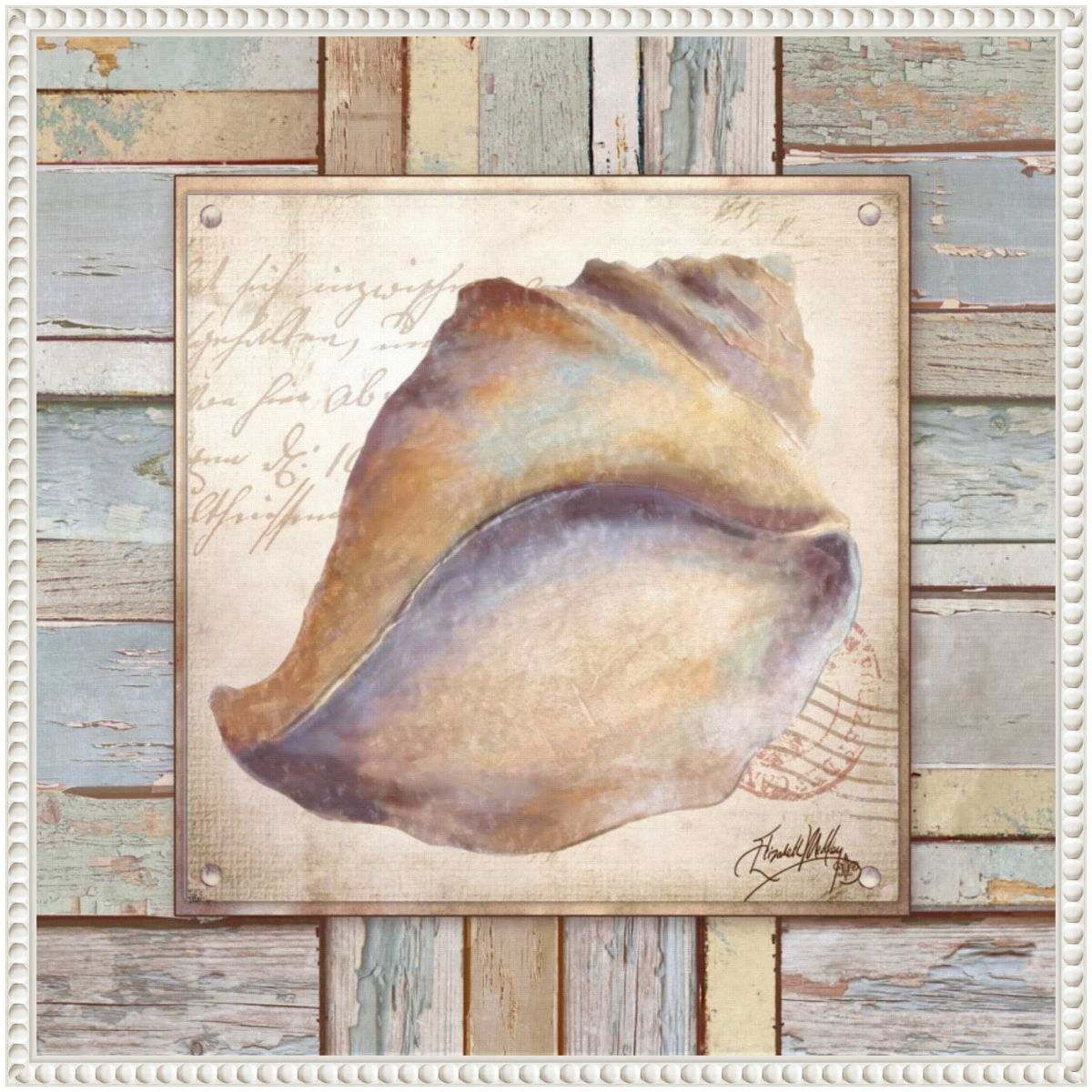 Beach Shell II Framed Canvas Wall Art Print
