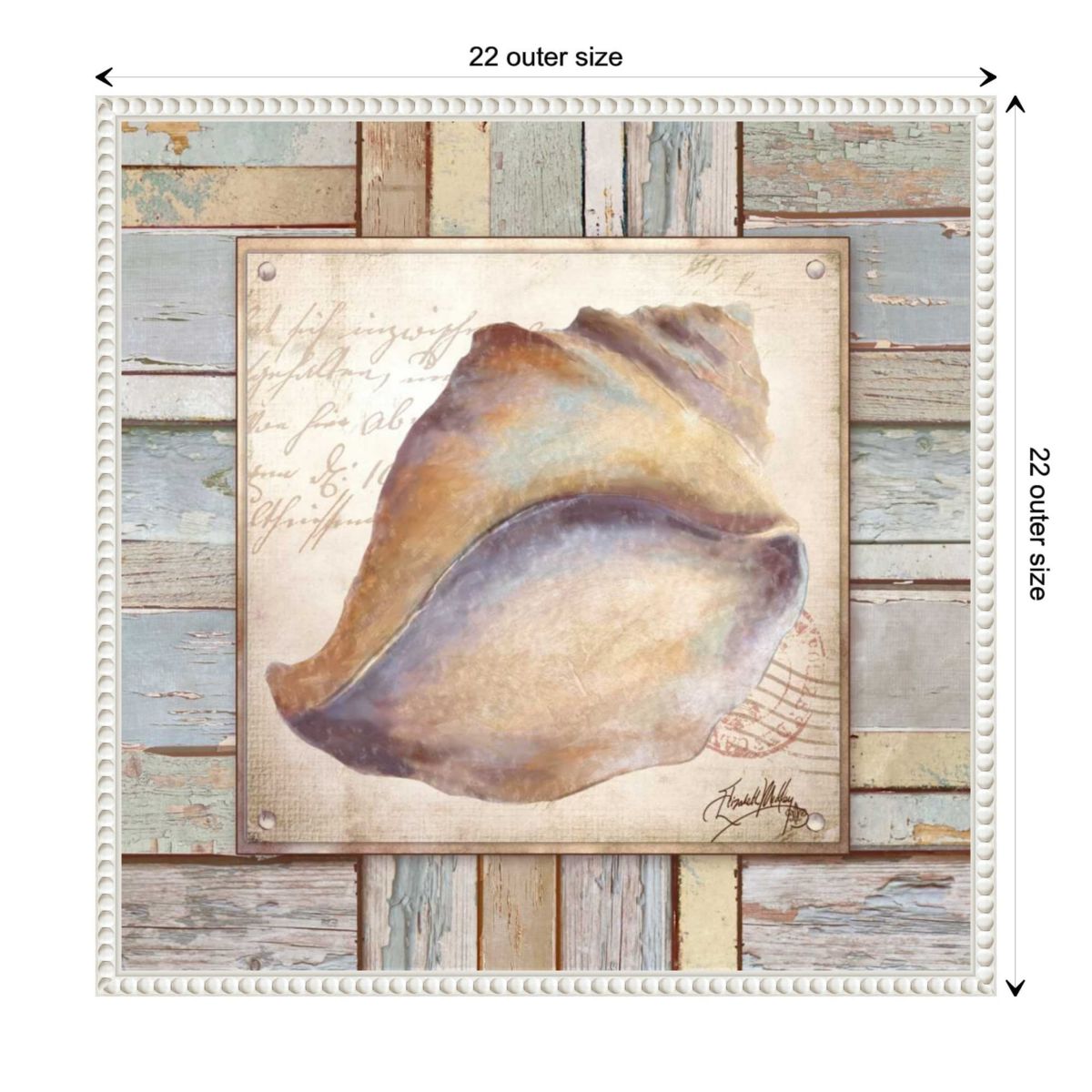 Beach Shell II Framed Canvas Wall Art Print