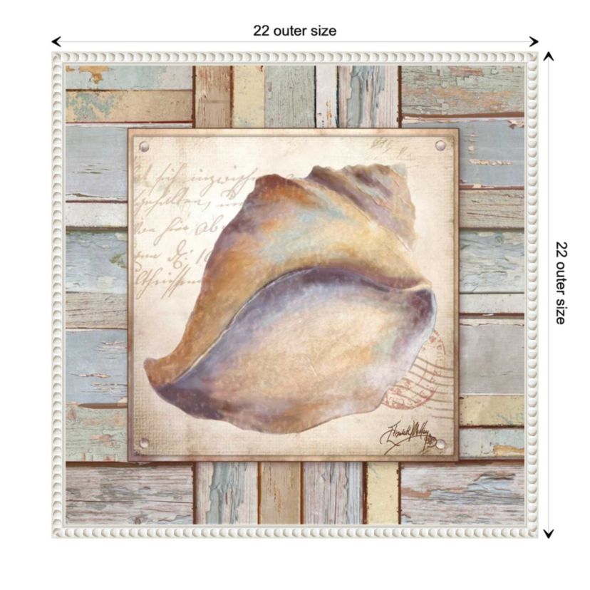 Beach Shell II Framed Canvas Wall Art Print