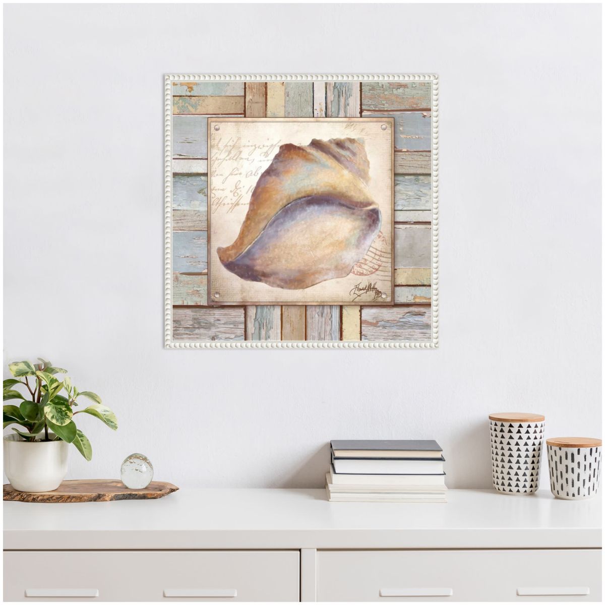 Beach Shell II Framed Canvas Wall Art Print
