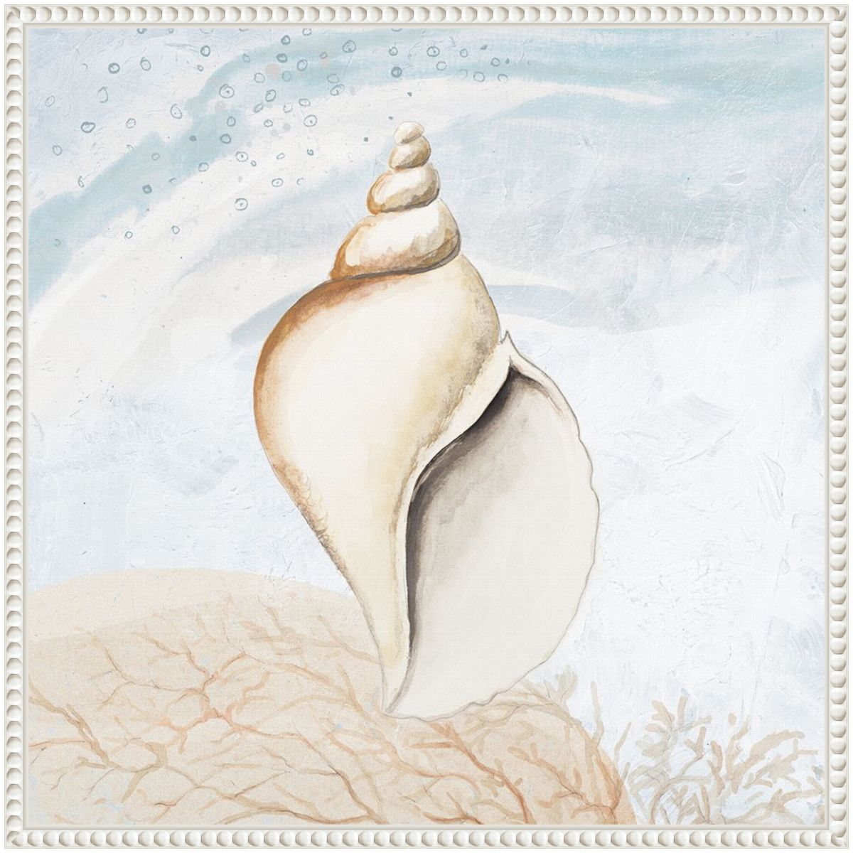 Ocean Oasis Tropical Seashell I Framed Canvas Wall Art Print