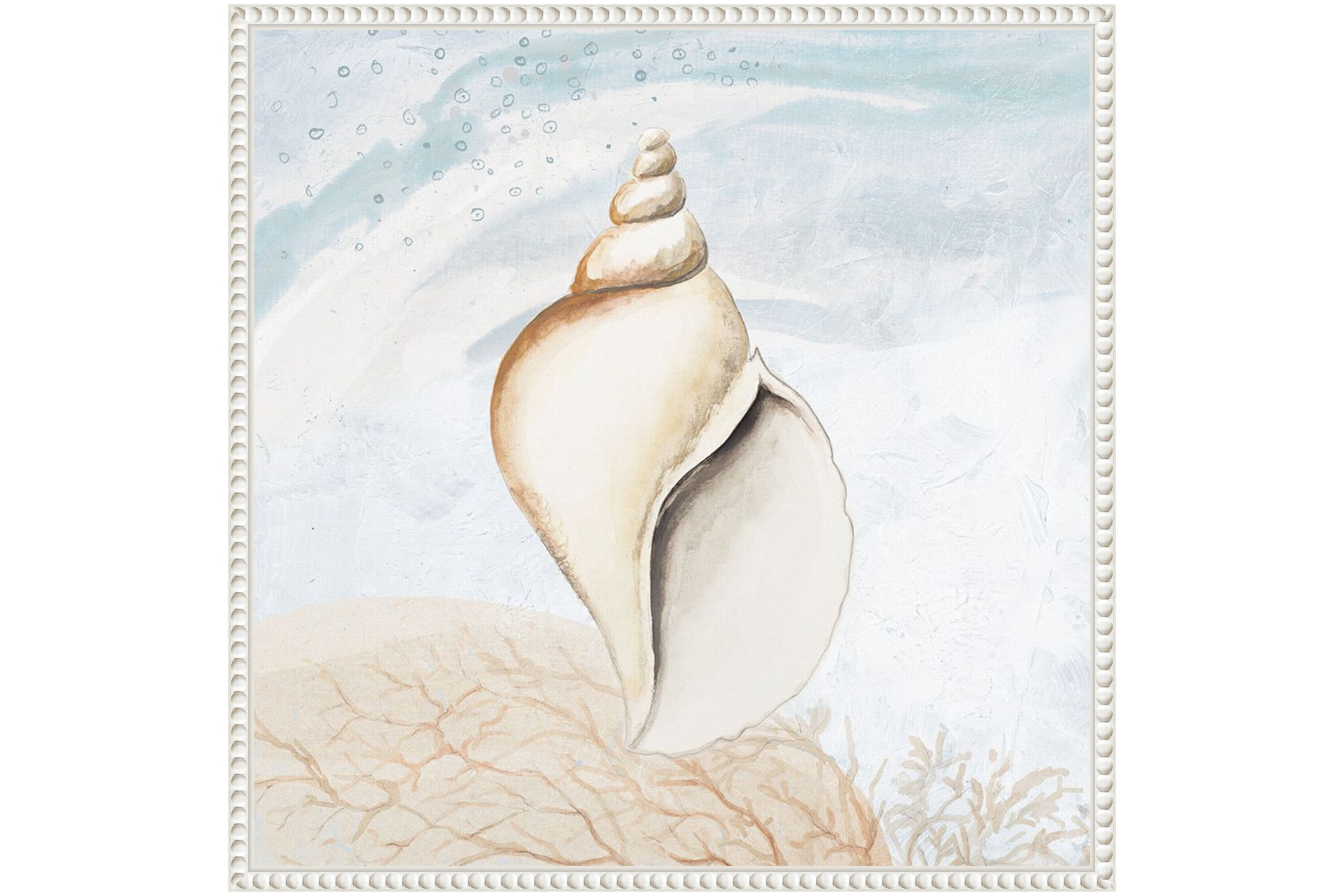 Ocean Oasis Tropical Seashell I Framed Canvas Wall Art Print