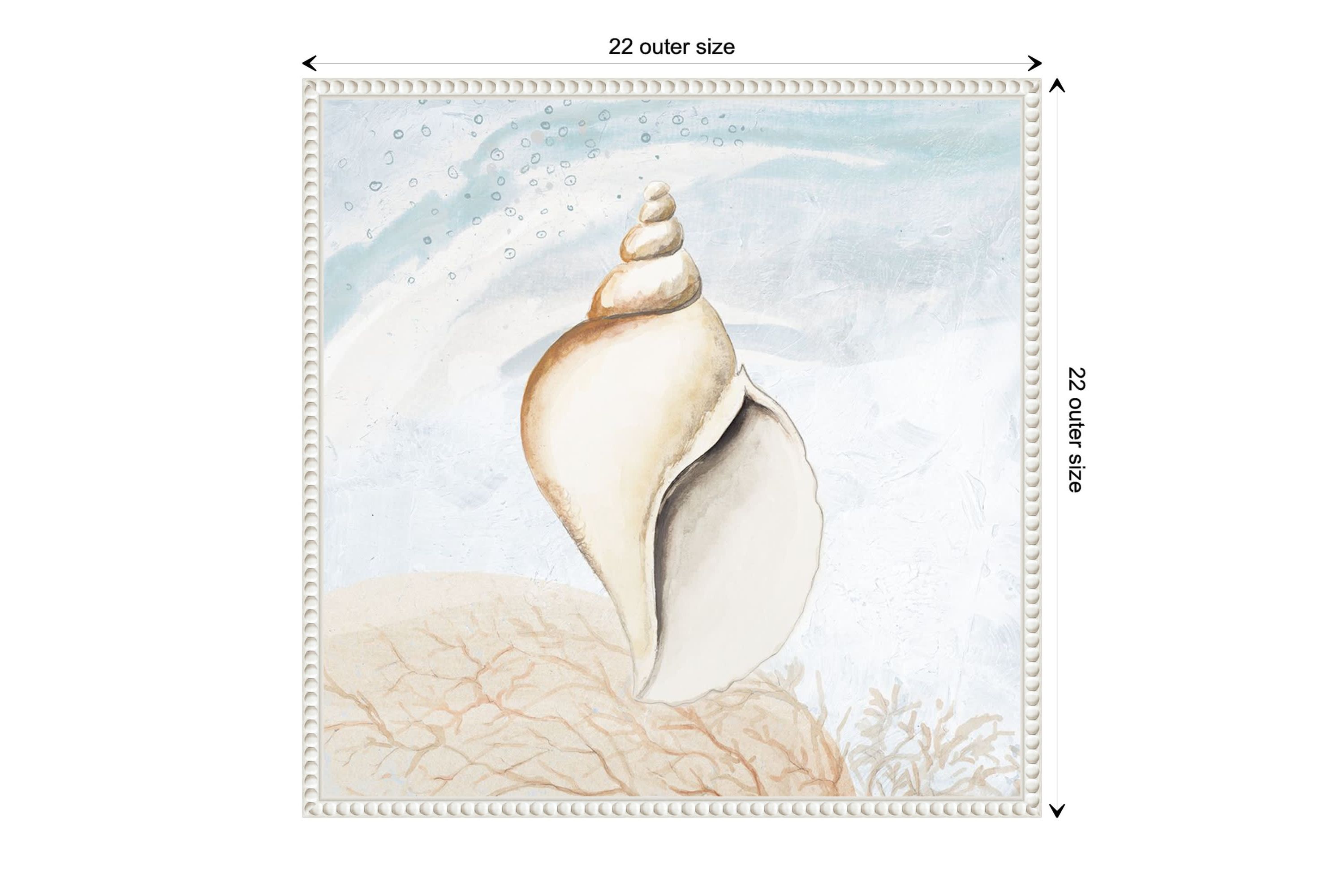 Ocean Oasis Tropical Seashell I Framed Canvas Wall Art Print