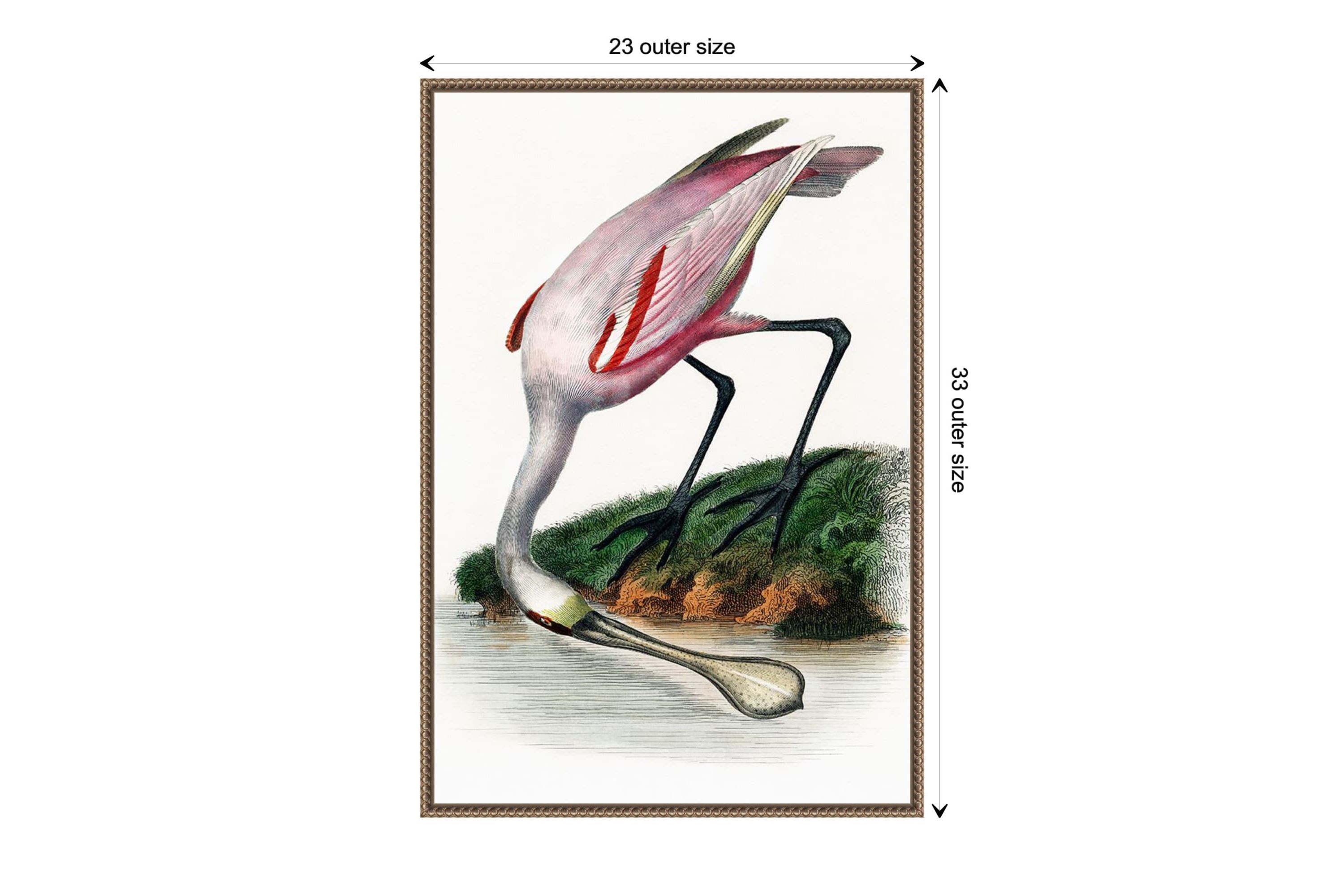 Spoonbill Crane Framed Canvas Wall Art Print