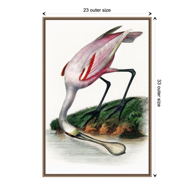 Spoonbill Crane Framed Canvas Wall Art Print