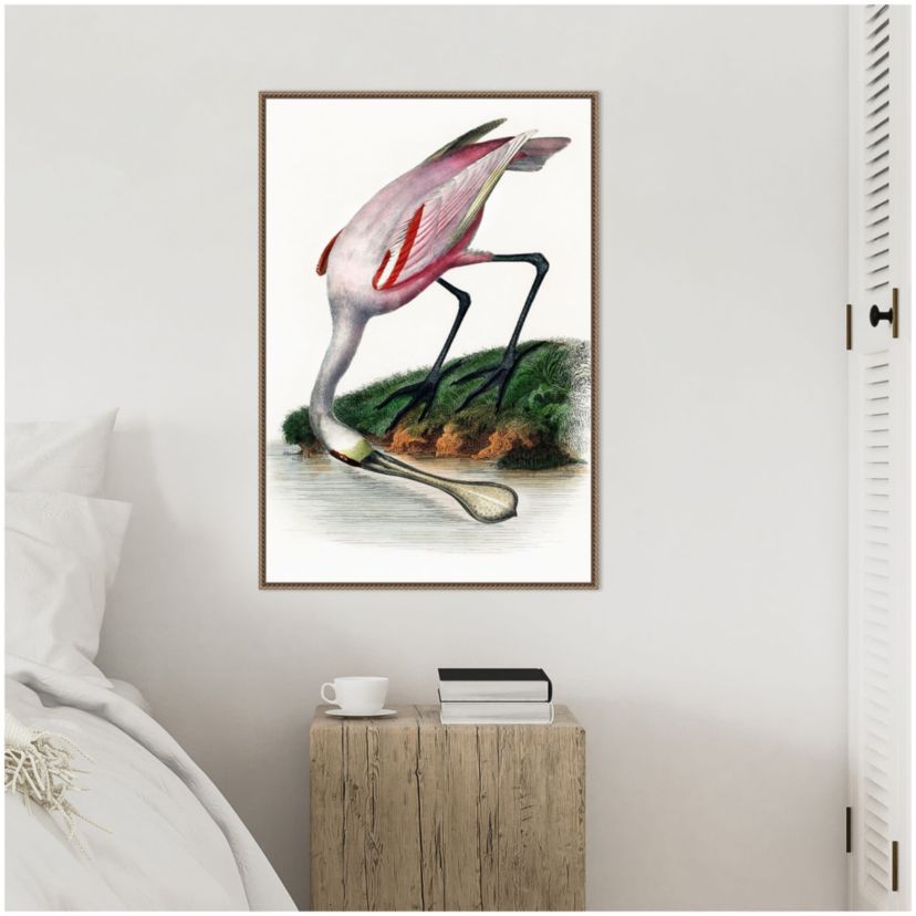 Spoonbill Crane Framed Canvas Wall Art Print