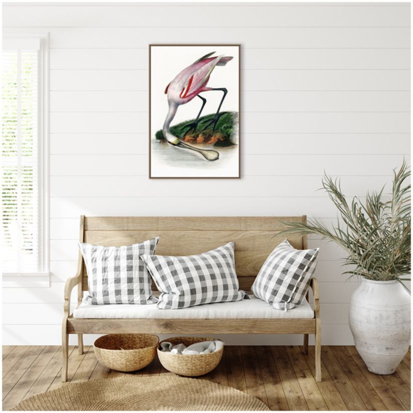 Spoonbill Crane Framed Canvas Wall Art Print