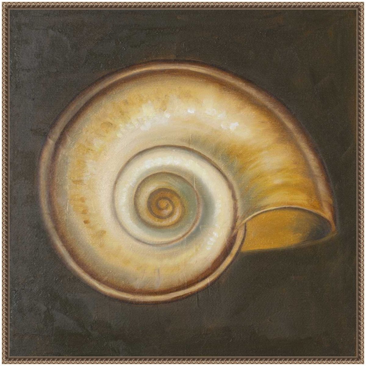 Seashell I Framed Canvas Wall Art Print