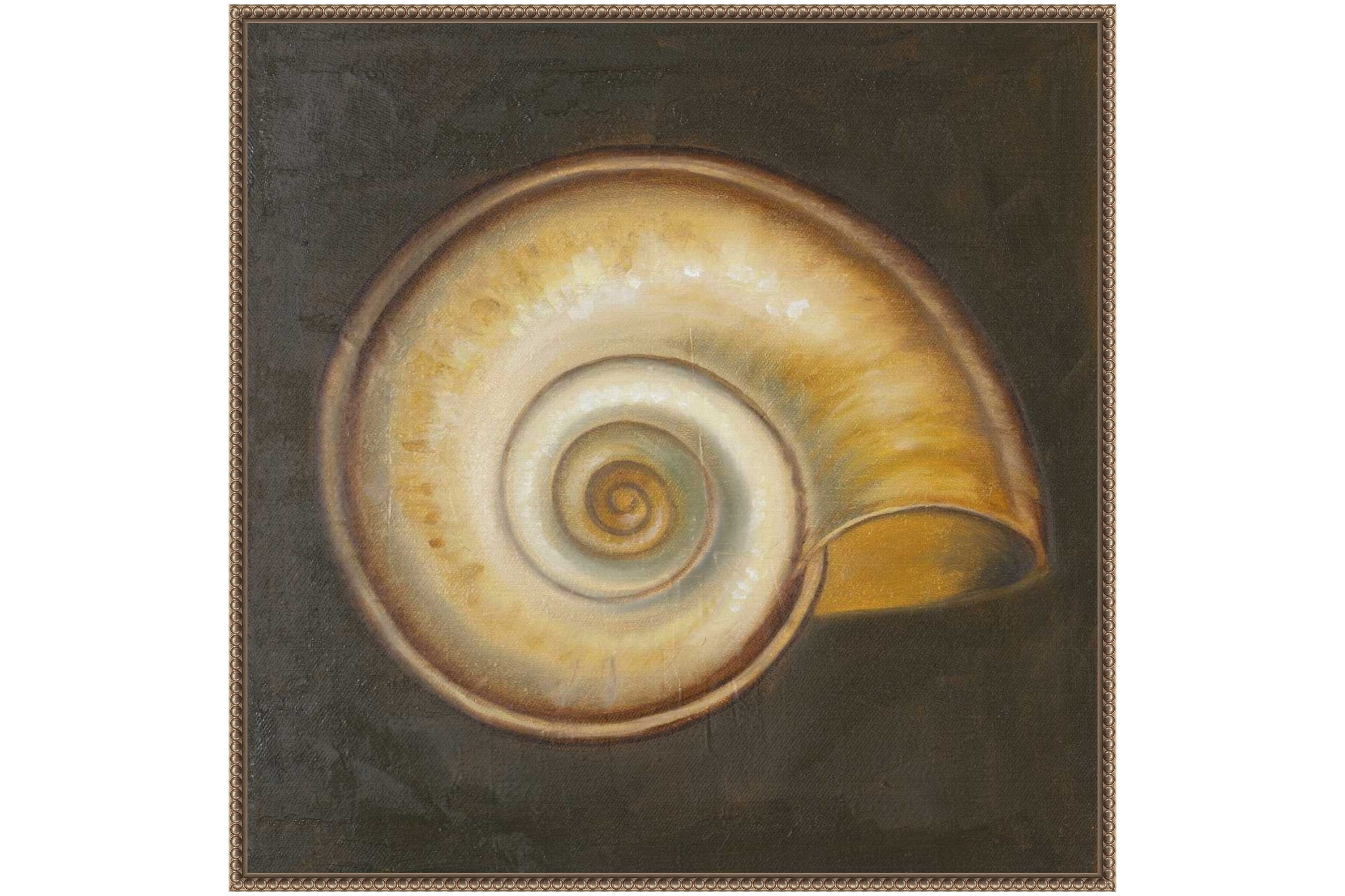 Seashell I Framed Canvas Wall Art Print