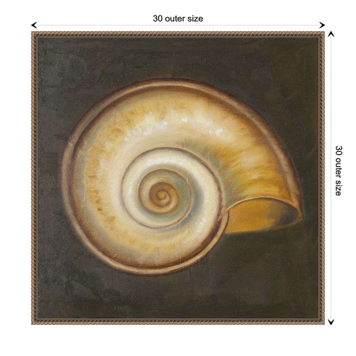 Seashell I Framed Canvas Wall Art Print