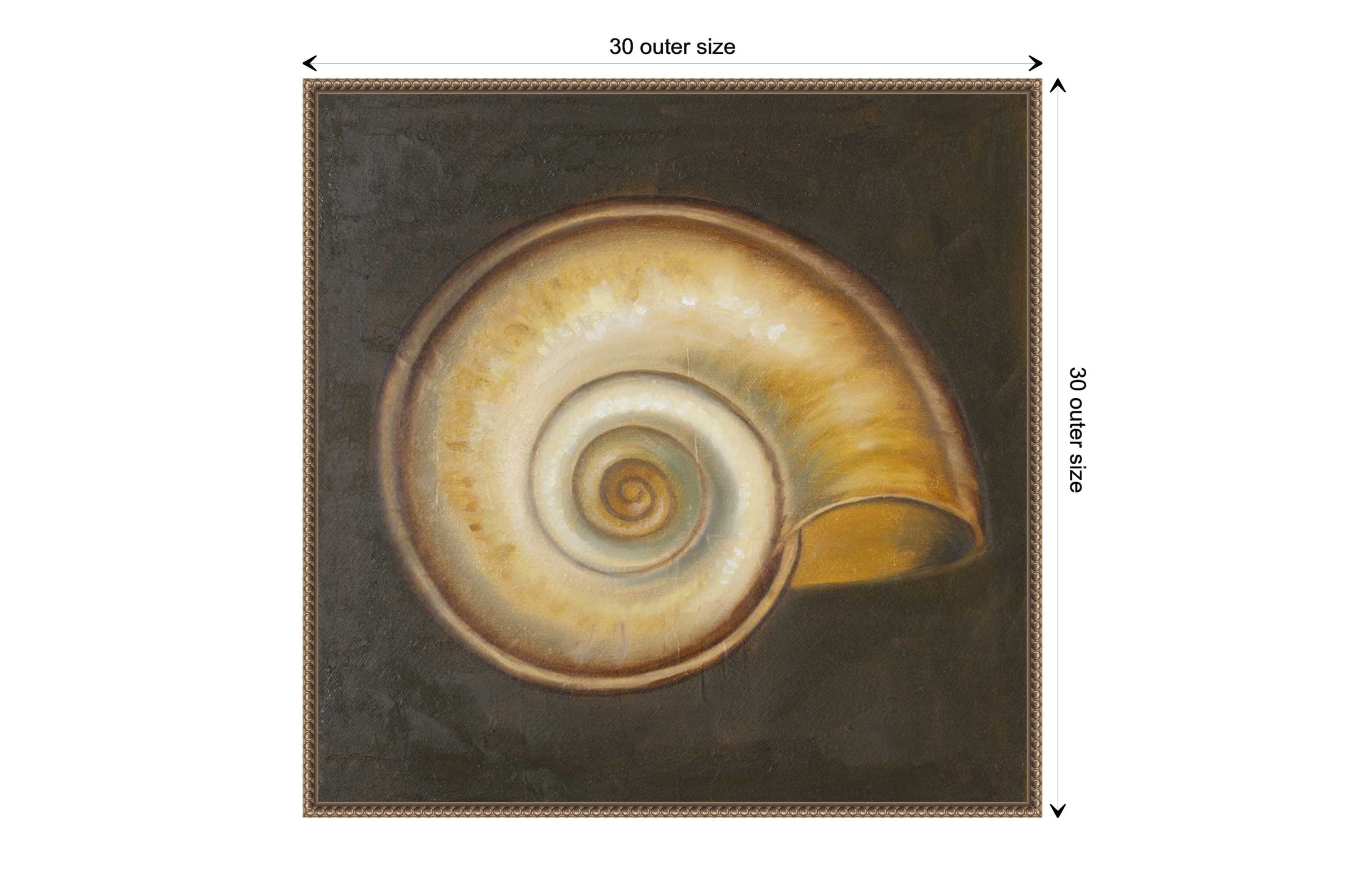 Seashell I Framed Canvas Wall Art Print