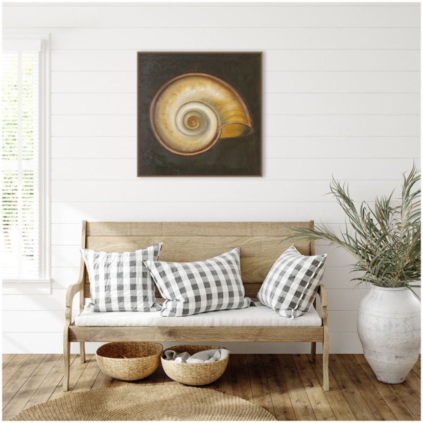 Seashell I Framed Canvas Wall Art Print