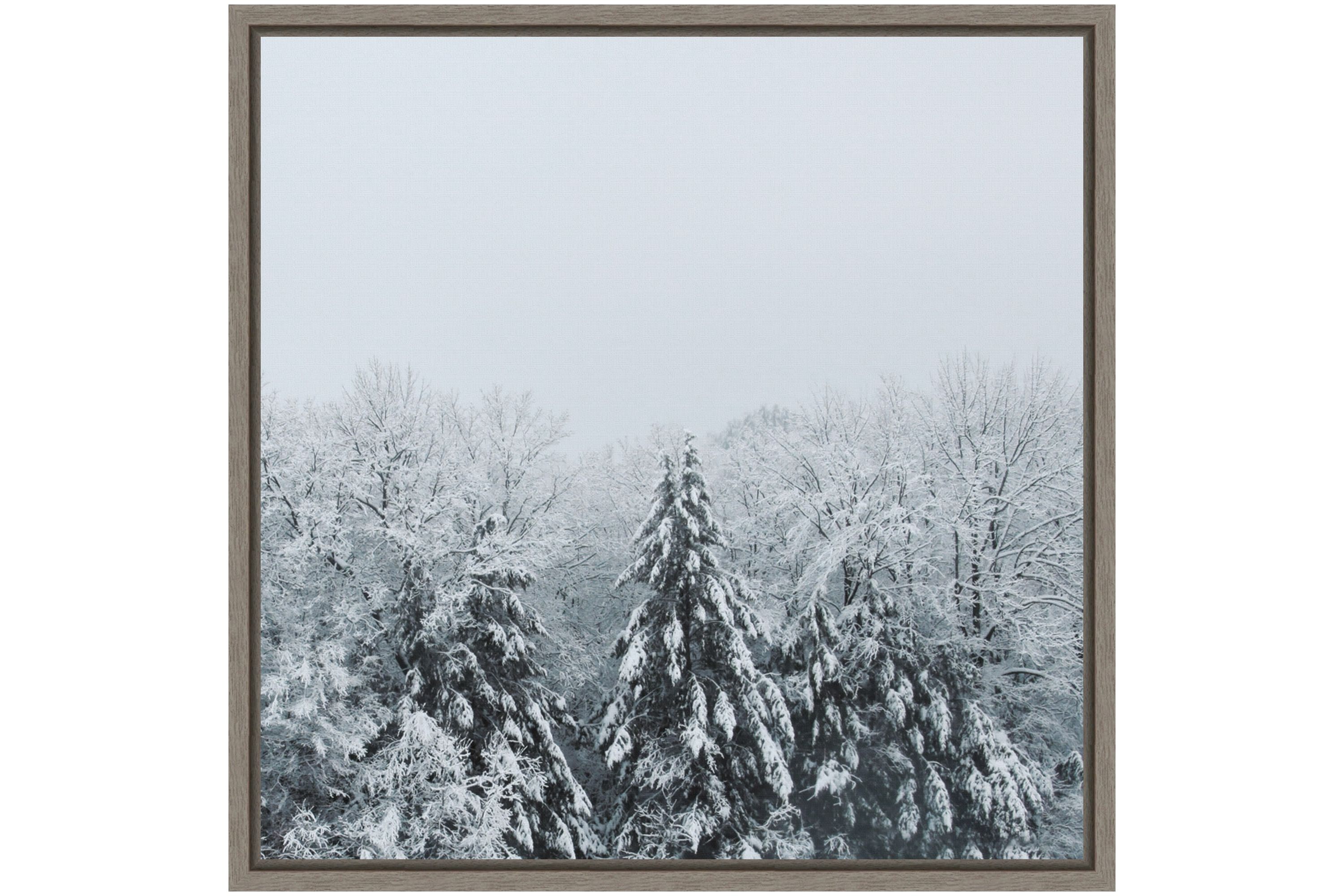 Snowshoe Hill and Trees Framed Canvas Wall Art Print