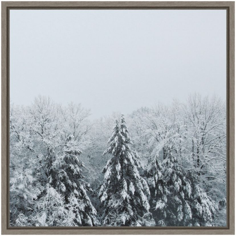Snowshoe Hill and Trees Framed Canvas Wall Art Print