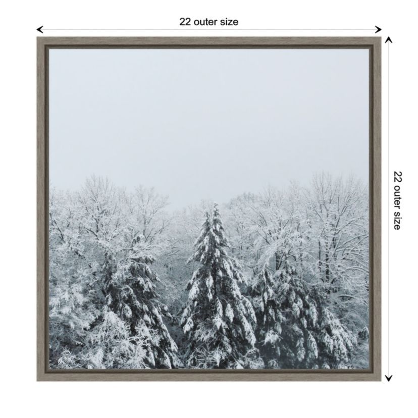 Snowshoe Hill and Trees Framed Canvas Wall Art Print