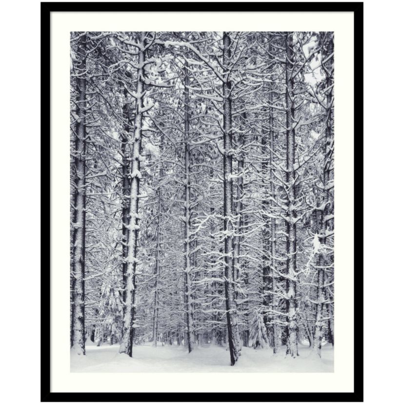 Pine Forest in the Snow, Yosemite National Park Framed Wall Art Print