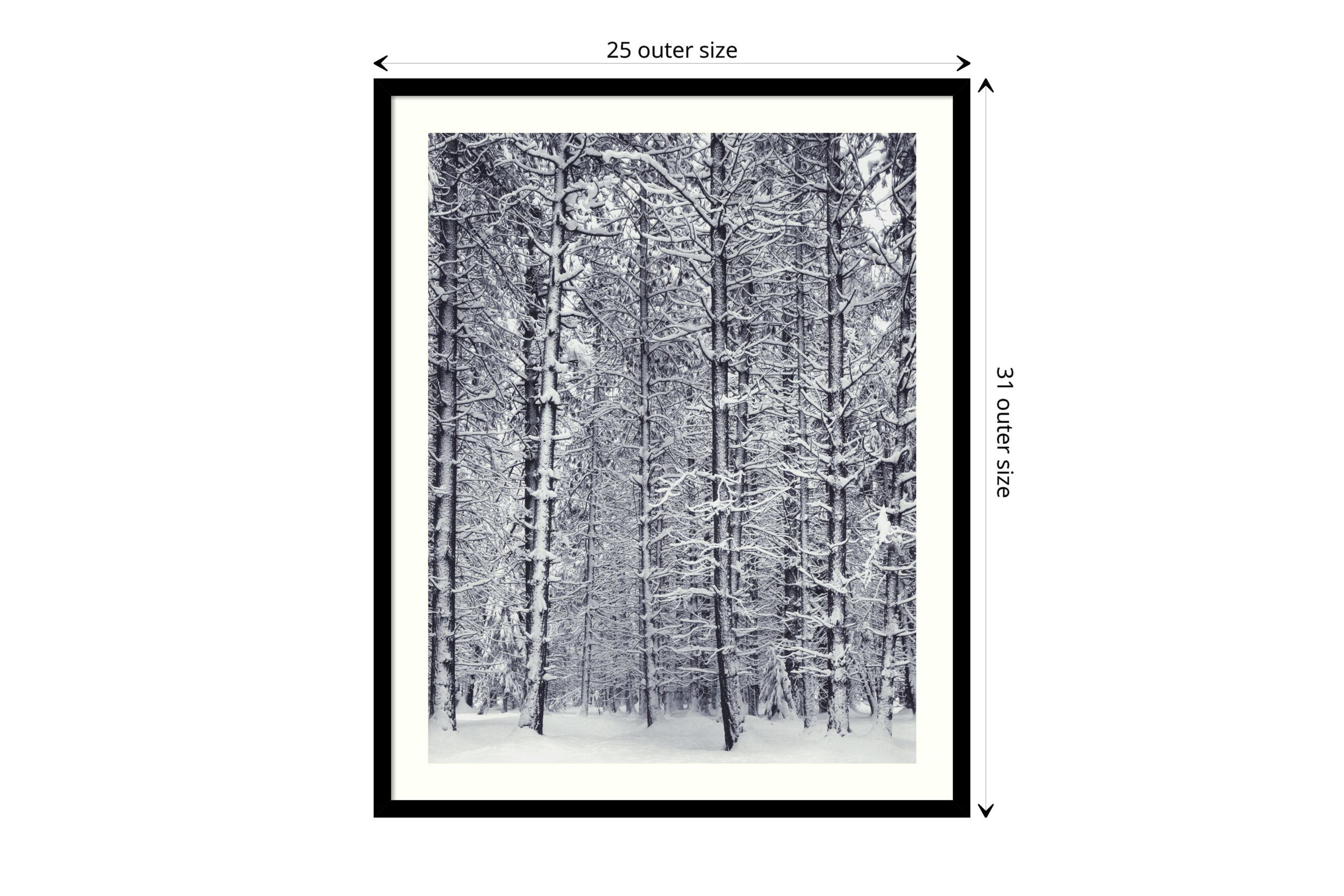 Pine Forest in the Snow, Yosemite National Park Framed Wall Art Print