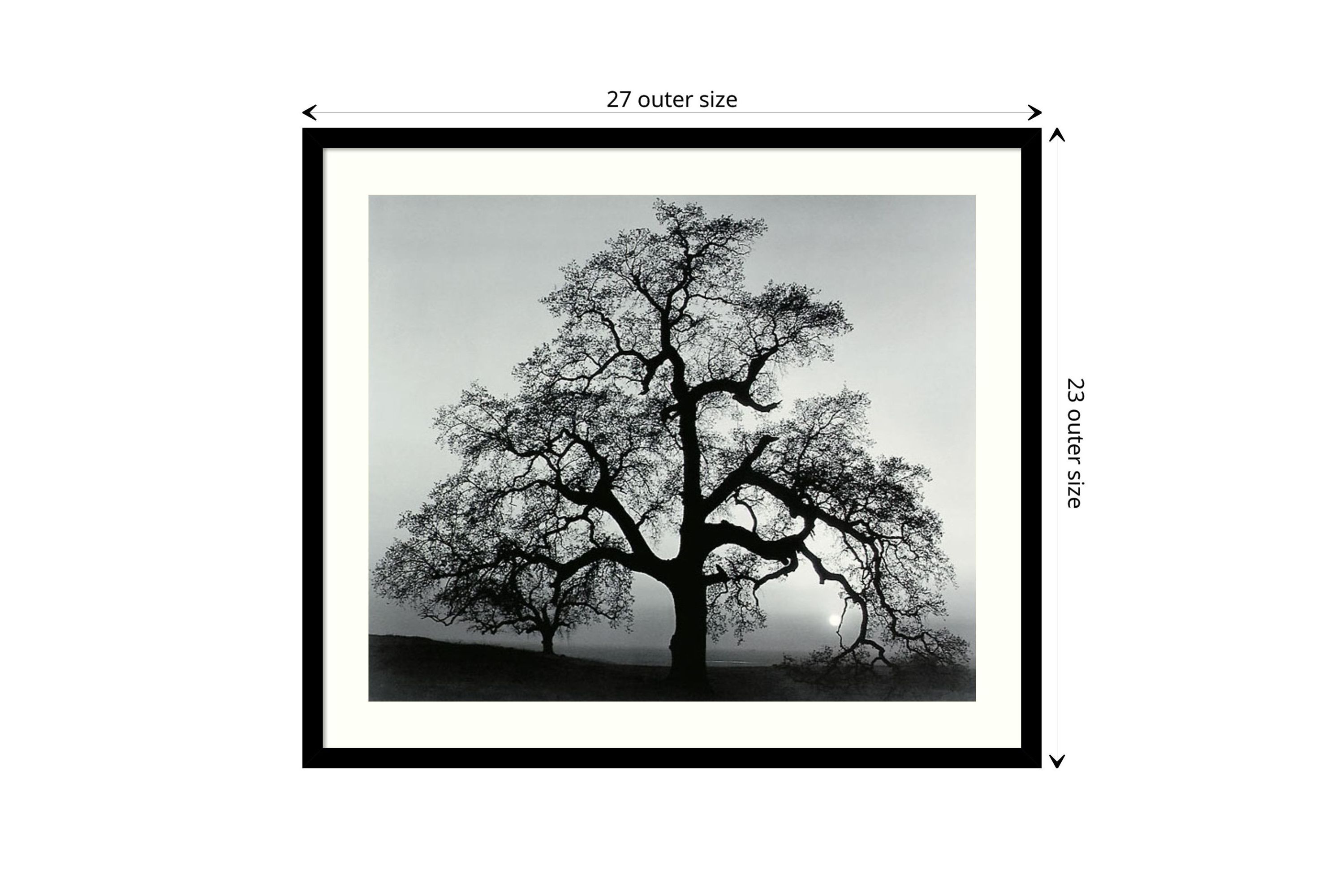 Oak Tree, Sunset City, California, 1962 Framed Wall Art Print