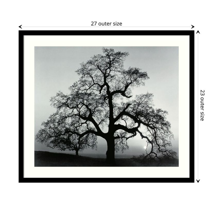Oak Tree, Sunset City, California, 1962 Framed Wall Art Print