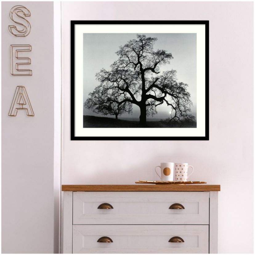 Oak Tree, Sunset City, California, 1962 Framed Wall Art Print