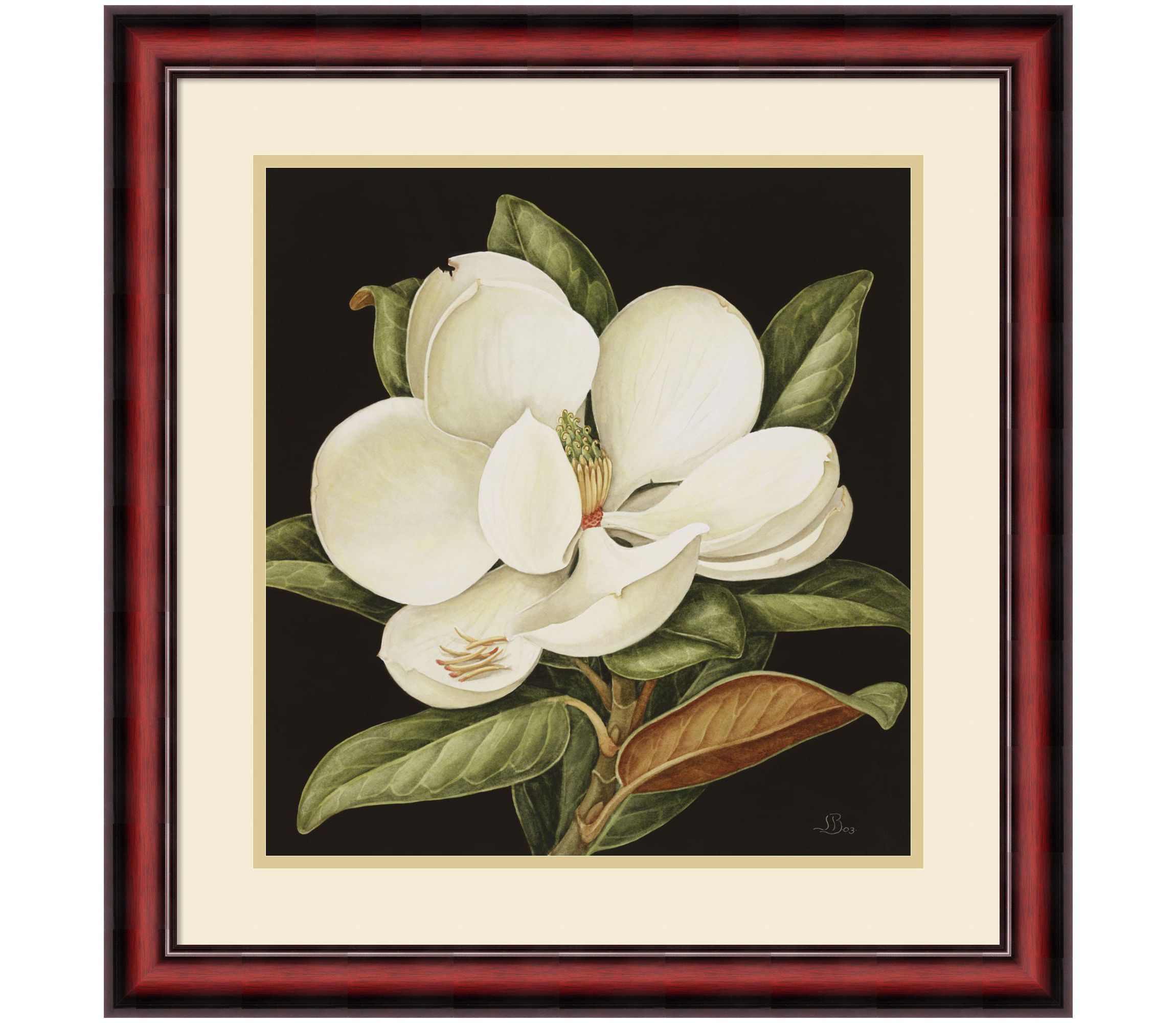 Magnolia Grandiflora 2003 by Jenny Barron Wood Framed Wall Art Print
