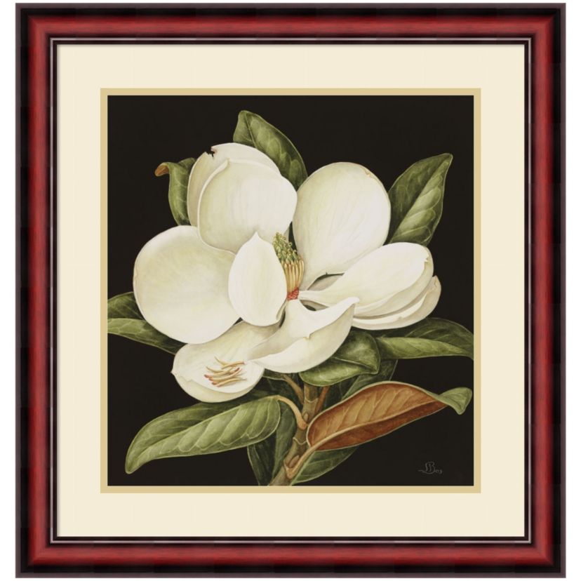 Magnolia Grandiflora 2003 by Jenny Barron Wood Framed Wall Art Print