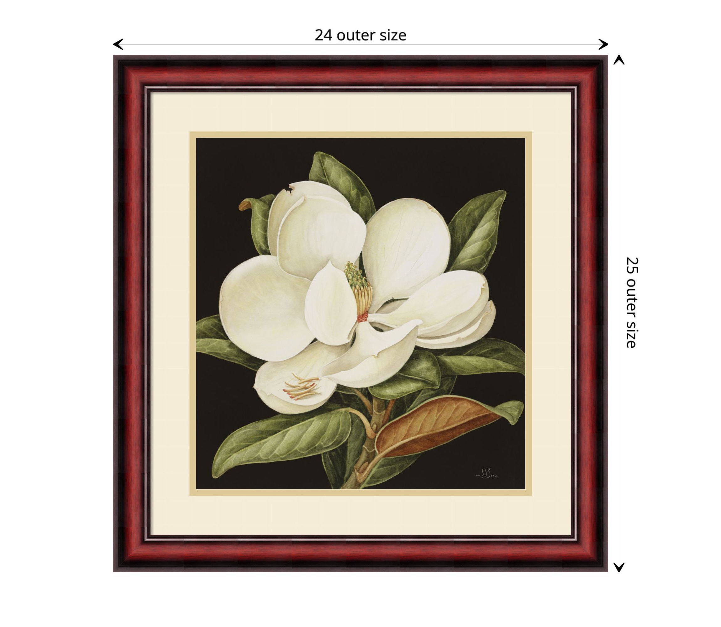 Magnolia Grandiflora 2003 by Jenny Barron Wood Framed Wall Art Print